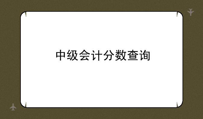 中级会计分数查询
