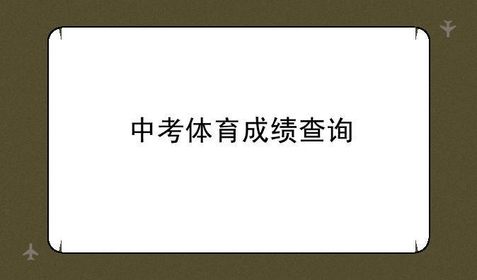 中考体育成绩查询