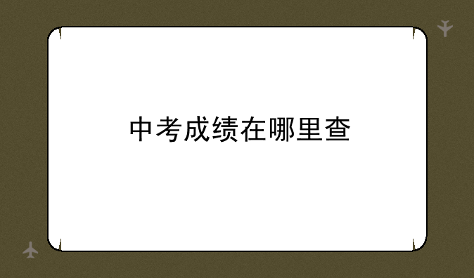 中考成绩在哪里查
