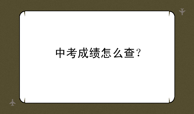 中考成绩怎么查？
