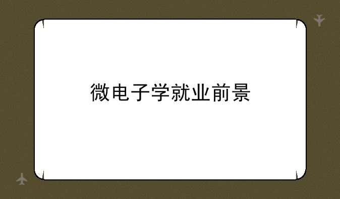 微电子学就业前景