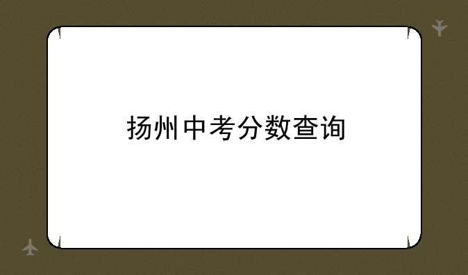 扬州中考分数查询