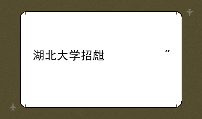 湖北大学招生计划