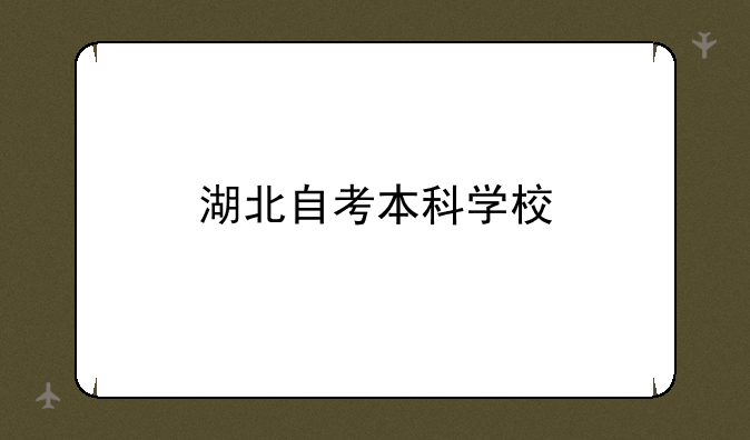湖北自考本科学校