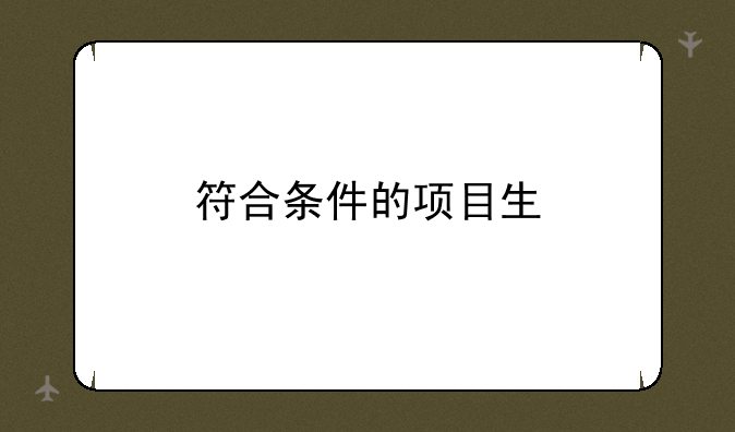符合条件的项目生
