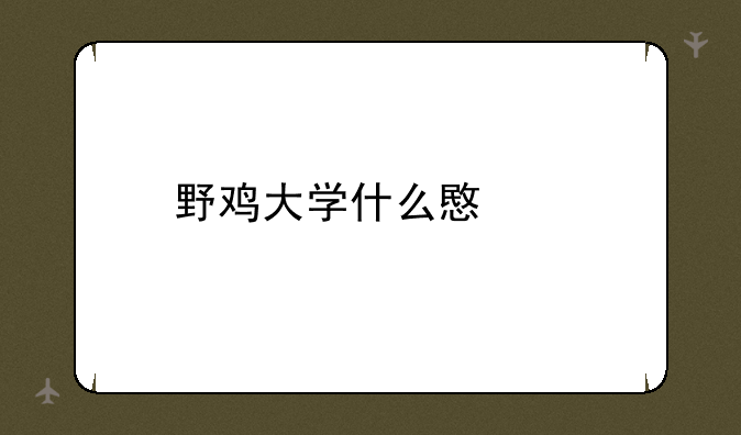 野鸡大学什么意思