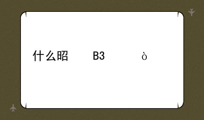 什么是同声传译