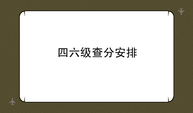 四六级查分安排