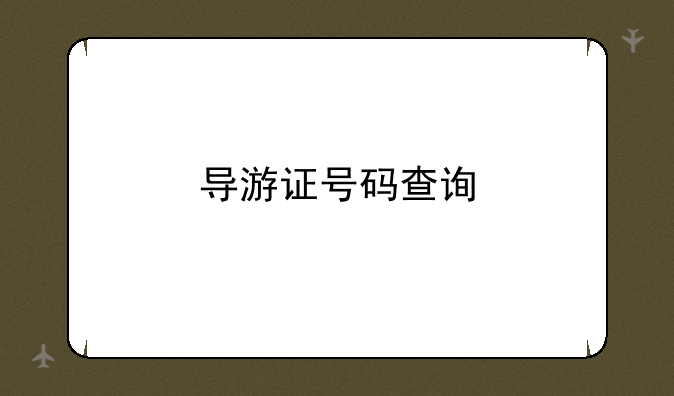 导游证号码查询
