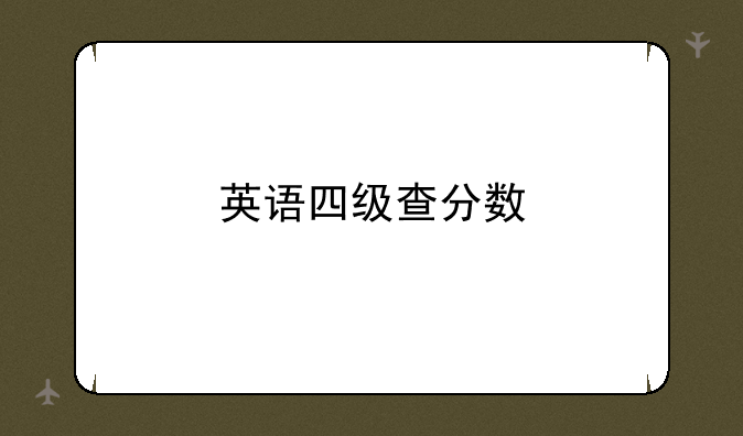 英语四级查分数