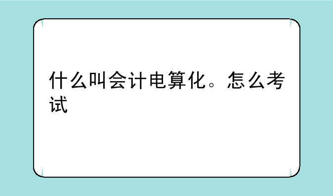 什么叫会计电算化。怎么考试