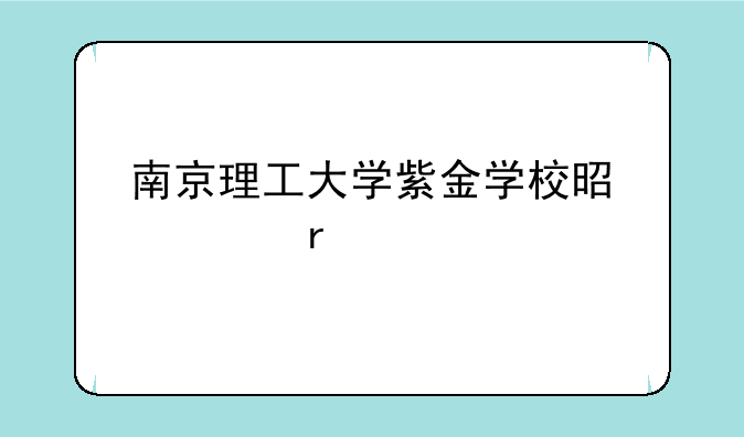 南京理工大学紫金学校是几本
