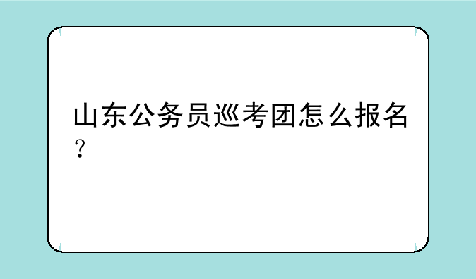 山东公务员巡考团怎么报名？