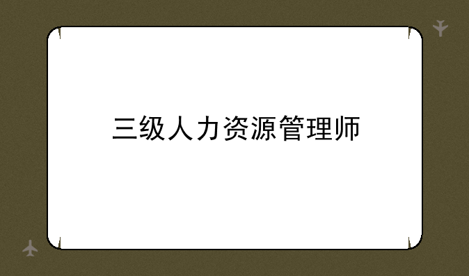 三级人力资源管理师