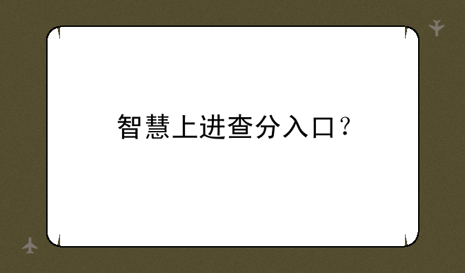 智慧上进查分入口？