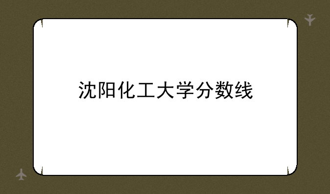 沈阳化工大学分数线