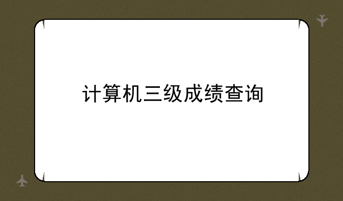 计算机三级成绩查询
