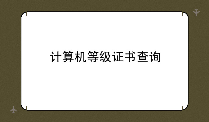 计算机等级证书查询