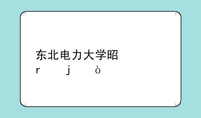 东北电力大学是几本的？
