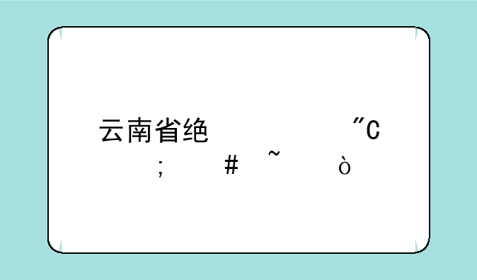 云南省统考成绩怎么查？