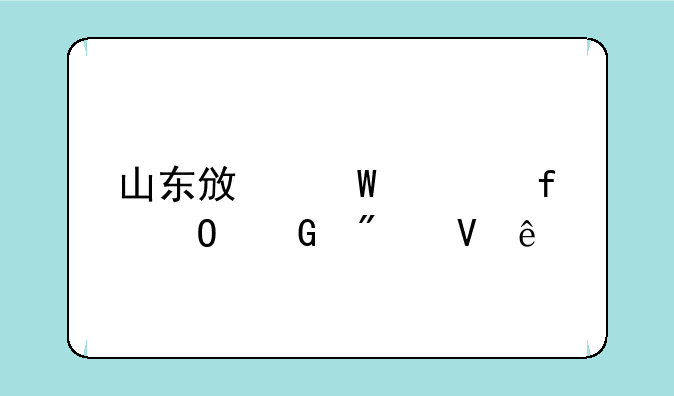 山东政法学院专科分数线