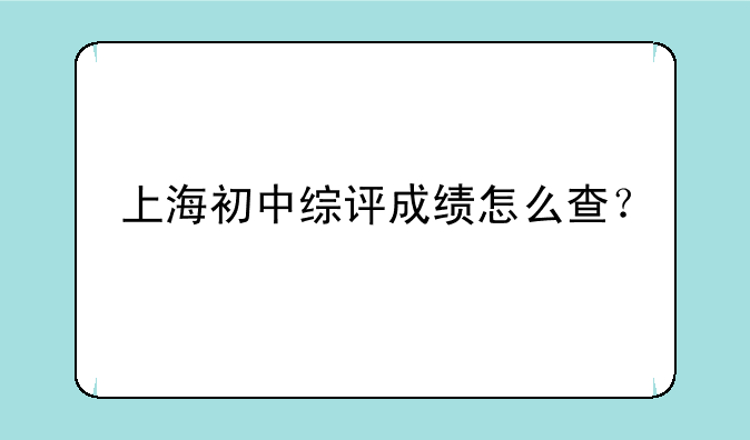 上海初中综评成绩怎么查？