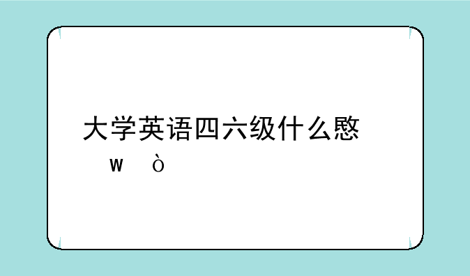 大学英语四六级什么意思？