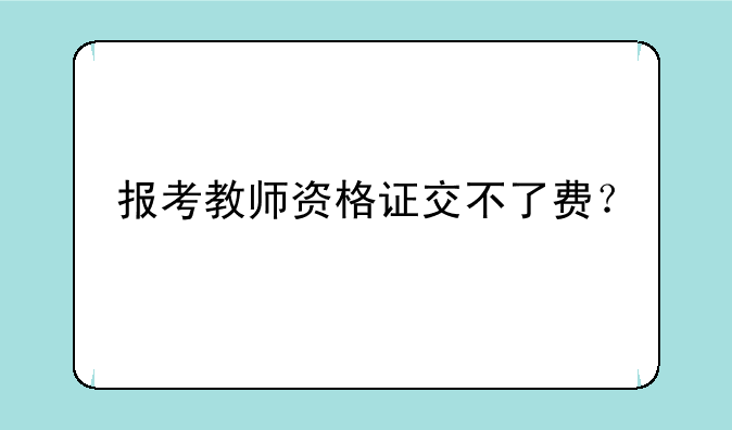 报考教师资格证交不了费？