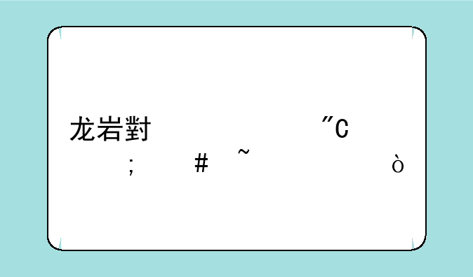 龙岩小中考成绩怎么查询？