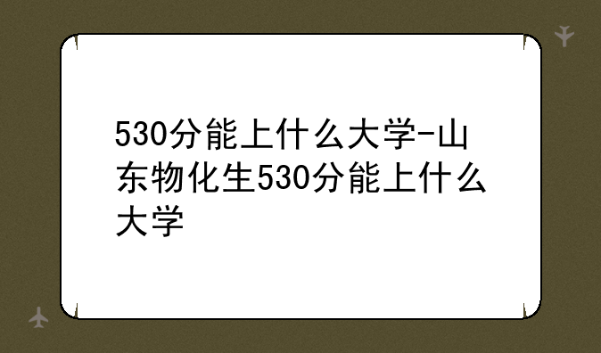 530分能上什么大学-山东物化生530分能上什么大学