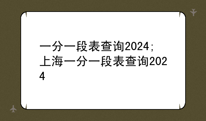 一分一段表查询2024;上海一分一段表查询2024
