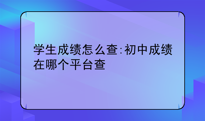 学生成绩怎么查:初中成绩在哪个平台查